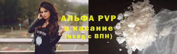 стафф Алексин
