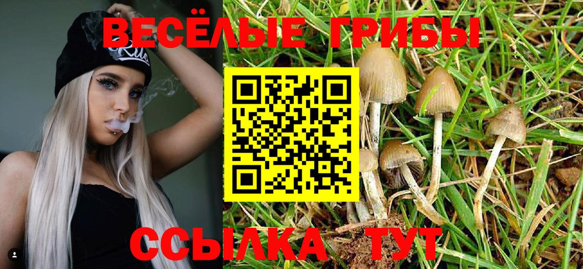 Псилоцибиновые грибы мицелий Иркутск