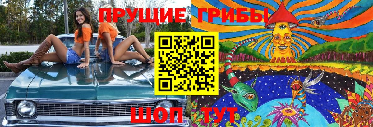 Иркутск  Псилоцибиновые грибы ЛСД  Вход с VPN 